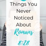 Romans 8_28 commentary