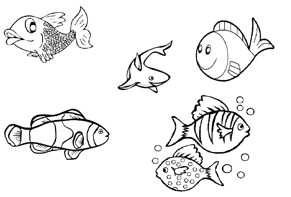 fish for tank