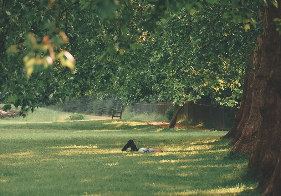 girl resting in a field