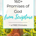 160 Promises of God from Scripture