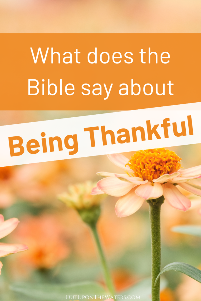 what does the Bible say about thankfulness - flower background