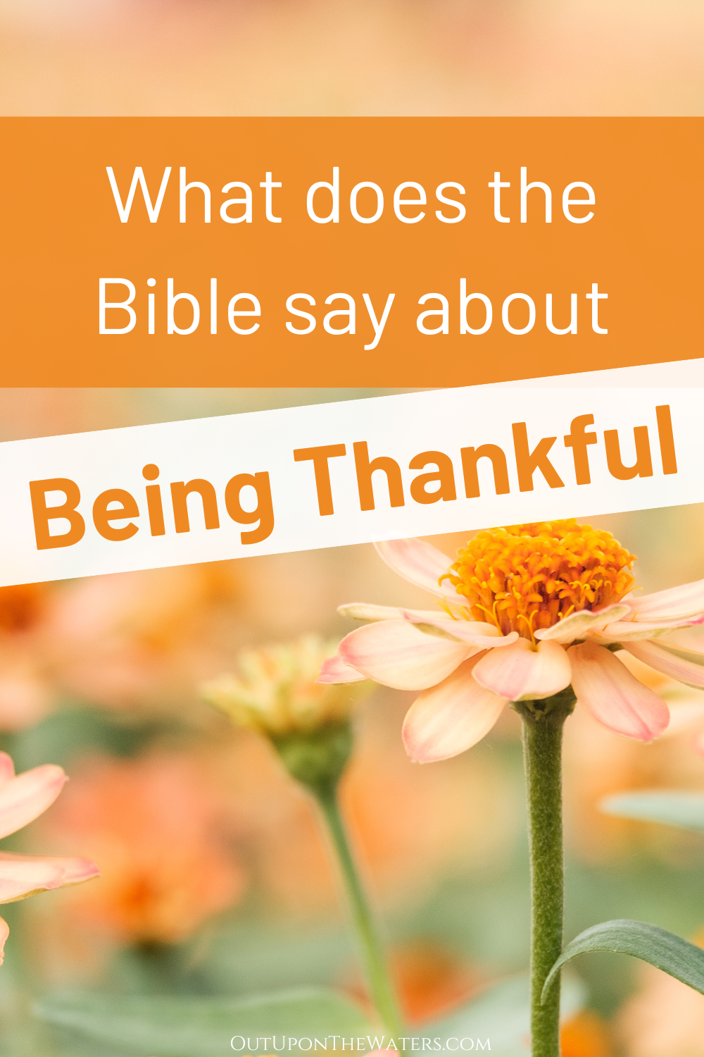 18 Surprising and Encouraging Stories of Gratitude in the Bible - Out