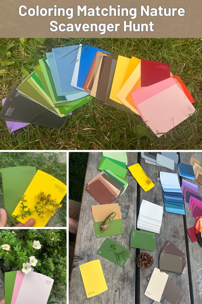 nature scavenger hunt: coloring matching with paint chips